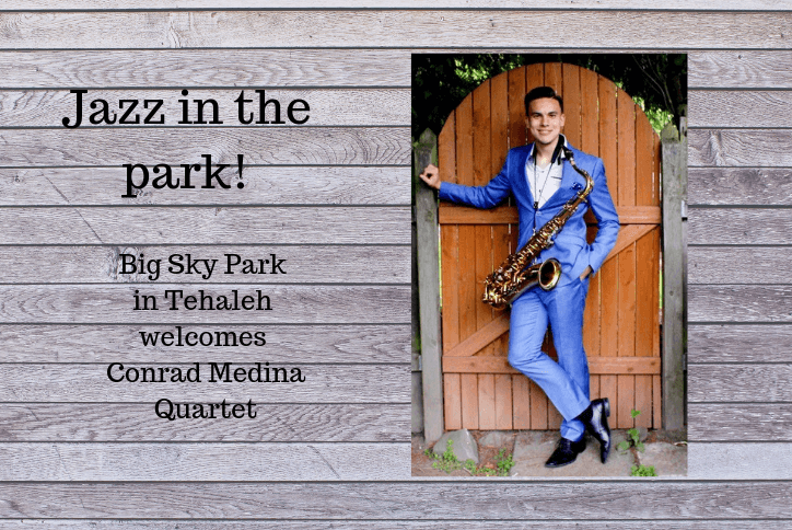 Jazz in the park event flyer showing saxophone player in suit.