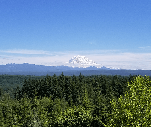 Fresh Homesites | Fresh By Tehaleh