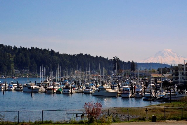 Summer_GigHarbor_208906.jpg