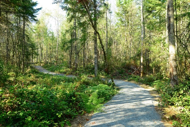 Tehaleh-Trails-6289-web 640x427.jpg