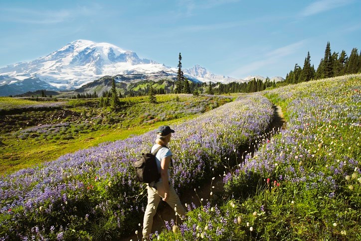 tehaleh-mount-rainier-hiking.jpg