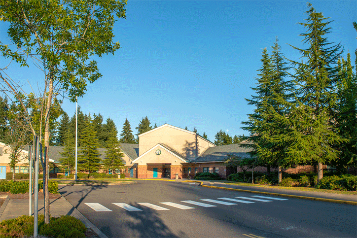 Street and pine trees leading up to Mountain View Middle School in Tehaleh.