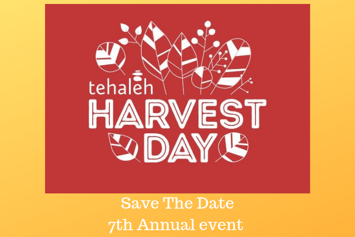 Tehaleh Harvest Day save the date invitation with leaf illustrations..