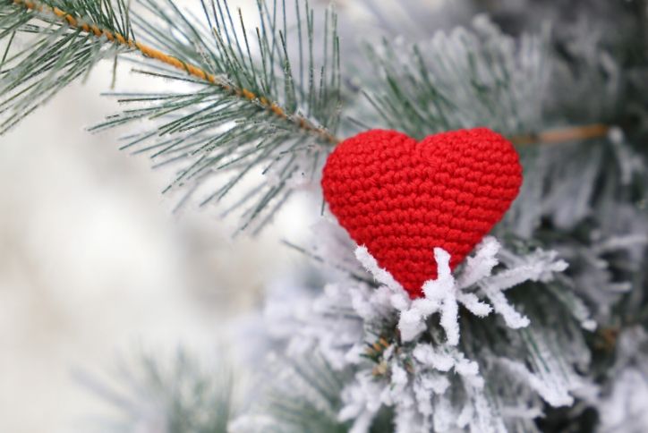 Knitted red heart in a winter tree.
