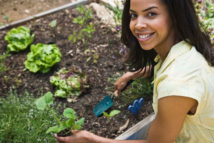 Woman planting small green plant in garden.