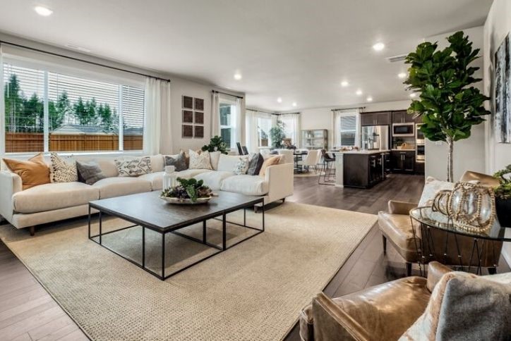 Beautifully decorated spacious living room.