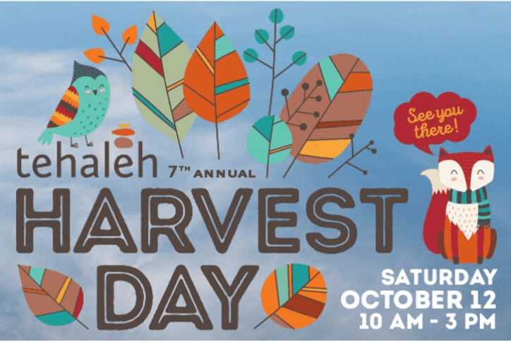 7th annual harvest day festival flyer at Tehaleh.