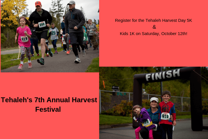 Marathon collage for Tehaleh's seventh annual harvest festival.