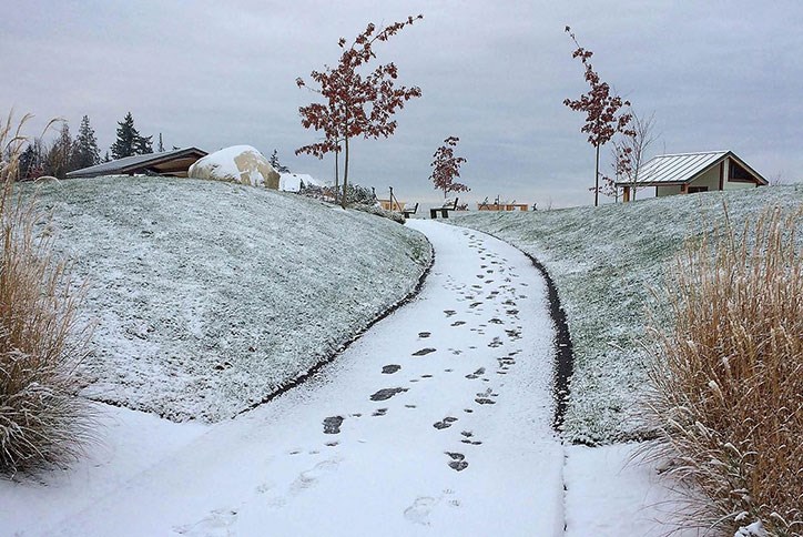 Footsteps on snowy trail.