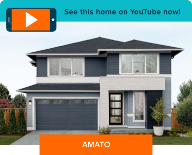 The Amato