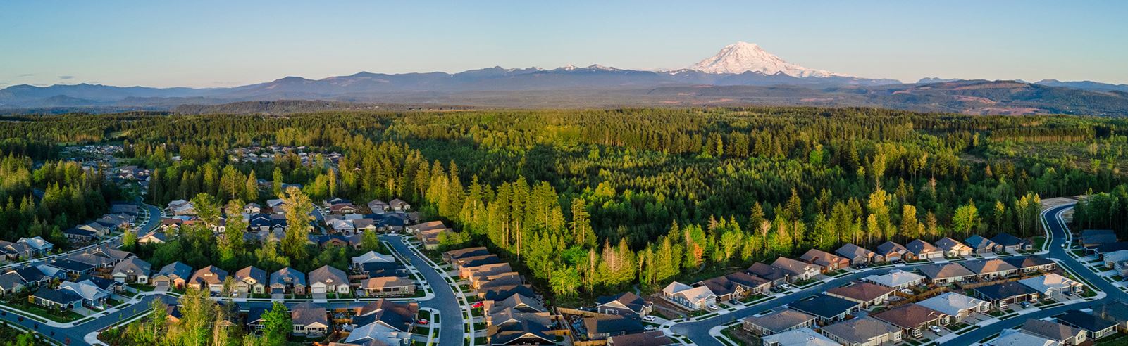 Bird's eye of Tehaleh with forest and Mount Rainier in background