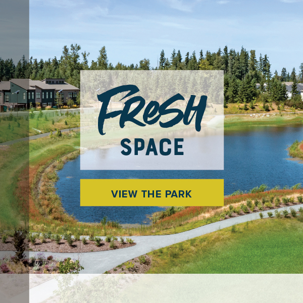 Fresh Space - View the park