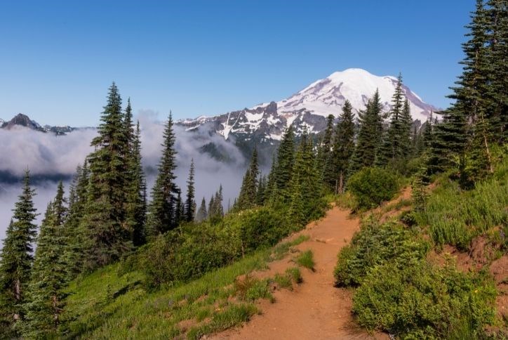 Mt Rainier Hikes.jpg