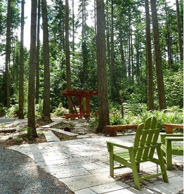 Forest Park at Tehaleh