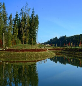 Yonder Park at Tehaleh