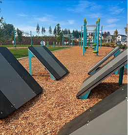 Ruff 'N' Tumble Park at Tehaleh
